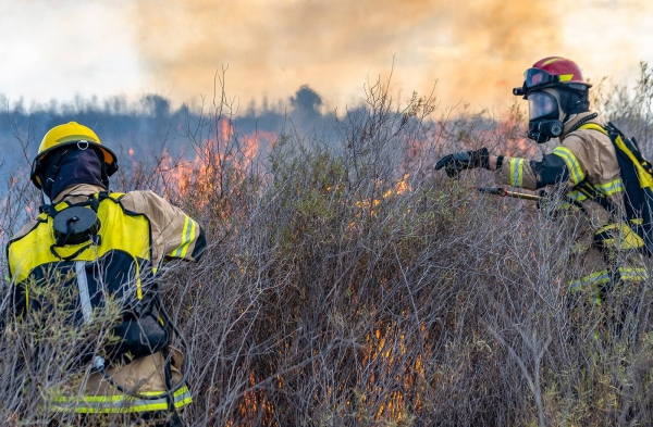戍边与森林防火